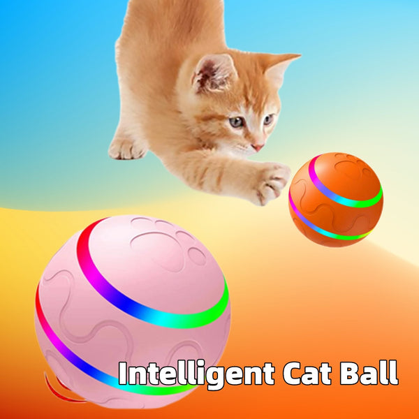 Intelligent Ball